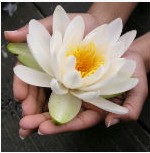 Capture3-16-2011-9.48.04 PM8-8-2013-7.44.10 PM